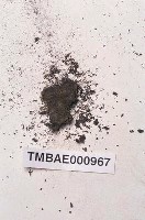 藏品(東亞碎米苔)的圖片